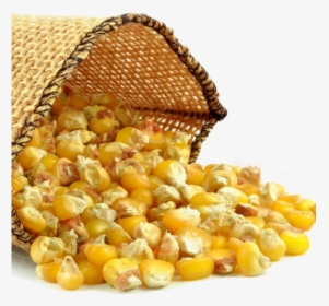 Corn Oil, HD Png Download, Free Download