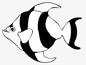Angel Fish Transparent Download Black And White Rr - Fish Clipart Black And White, HD Png Download, Free Download