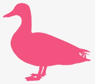 Canard Silhouette, HD Png Download, Free Download