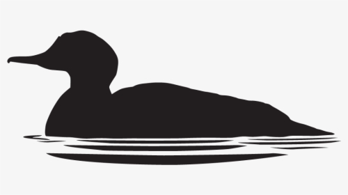 Duck In Water Silhouette, HD Png Download, Free Download
