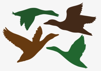 Duck Silhouette, Silhouette Images, Silhouette Files, - Flock, HD Png Download, Free Download