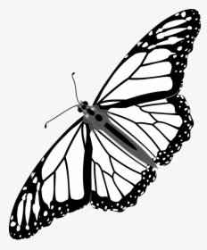 Cartoon Monarch Butterfly 25, Buy Clip Art - Monarch Butterfly Transparent Background, HD Png Download, Free Download
