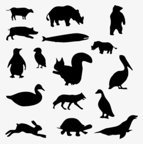 Animal, Bear, Cow, Duck, Goose, Pelican, Pig, Rabbit - Animal Black And White Png, Transparent Png, Free Download