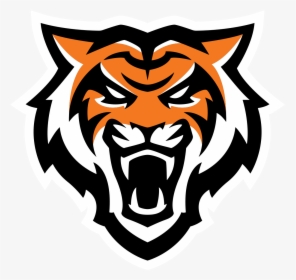 Bengals Logo Old School - Idaho State Football Logo, HD Png Download, Free Download