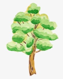 Leaf Tree Clipart Watercolor, HD Png Download, Free Download