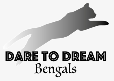 Dare To Dream Bengals - Burmese, HD Png Download, Free Download