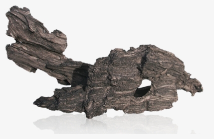Dark Mangrove - Wood, HD Png Download, Free Download