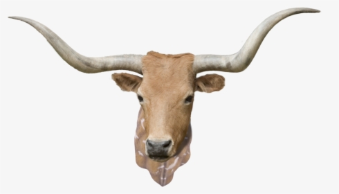 Cowwithneck - Bull, HD Png Download, Free Download