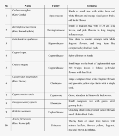 Document, HD Png Download, Free Download