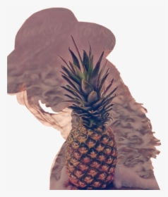#silhouette #pineapple #tropical #summer #sticker #sctropical - Pineapple On Beach, HD Png Download, Free Download