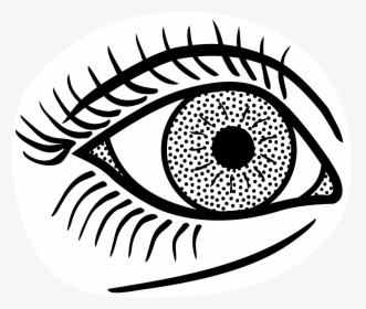 Line Art Group Clipart - Simple Line Drawing Eye, HD Png Download, Free Download