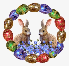 Easter, Eggs, Frame, Rabbits, Celebration - Conejos Primavera, HD Png Download, Free Download