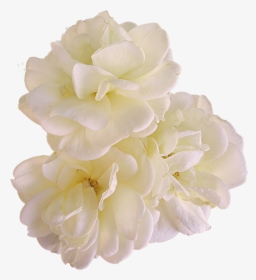 Gardenia Flowers Png Pic - Artificial Flower, Transparent Png, Free Download