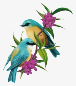 Pájaros 8 Png - Wednesday Blessings Birds, Transparent Png, Free Download