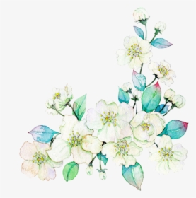 Gardenia Vector Watercolor - Flowering Dogwood, HD Png Download, Free Download