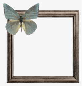 #wooden #frame #frames #butterfly #brown #green #border - Picture Frame, HD Png Download, Free Download