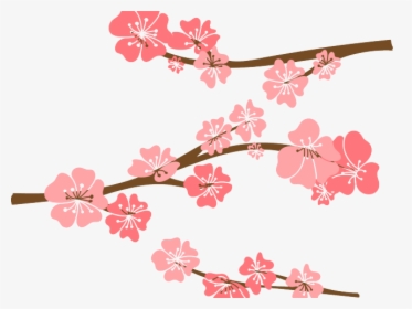 Drawn Cherry Blossom Vector - Draw Cherry Blossom Branch, HD Png Download, Free Download