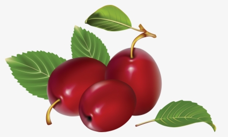 Plum Png Image - Red Plums Clipart, Transparent Png, Free Download