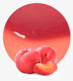 Pink Plum Fruit, HD Png Download, Free Download