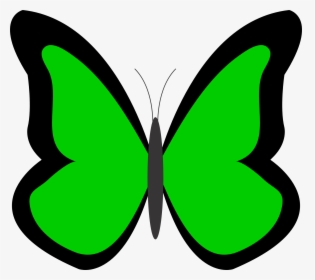 Sky Clipart Butterfly - Clipart Green Butterfly, HD Png Download, Free Download