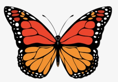 Butterfly Sticker, HD Png Download, Free Download