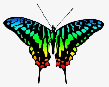 Multicolored Butterfly Image - Clip Art Colourful Butterfly, HD Png Download, Free Download
