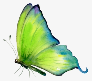 Green Butterfly Art, HD Png Download, Free Download