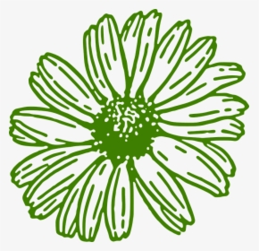 Gerbera, Daisy, Green, Flower - Gerber Daisies Clipart, HD Png Download, Free Download