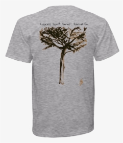Transparent Cypress Tree Png - Adansonia, Png Download, Free Download