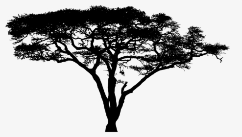 Clipart Silhouette Big Image - Acacia Tree Logo Png, Transparent Png, Free Download