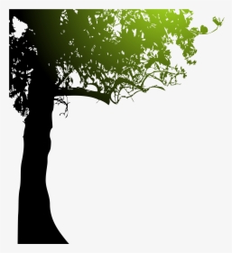 Silhouette Royalty Free Tree - Transparent Background Tree Graphic Tree Silhouette, HD Png Download, Free Download