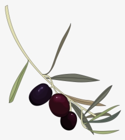 Beach Plum, HD Png Download, Free Download