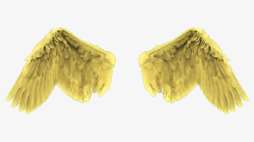 #angel #wings #gold #yellow - Feathers For Editing, HD Png Download, Free Download