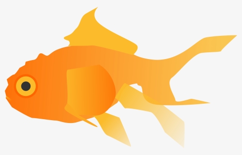 Marine Biology,art,bony Fish - Goldfish Clipart, HD Png Download, Free Download