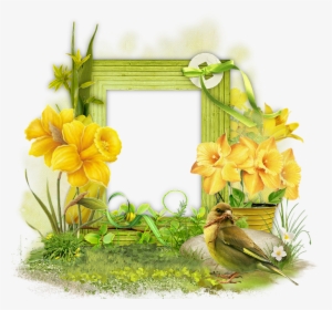 Lente - Flower - Flower, HD Png Download, Free Download