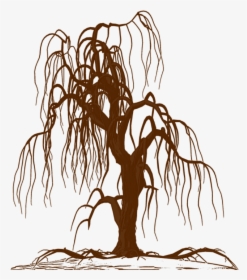Wall Decal Weeping Willow Tree Drawing Silhouette - Man On Cliff Edge, HD Png Download, Free Download