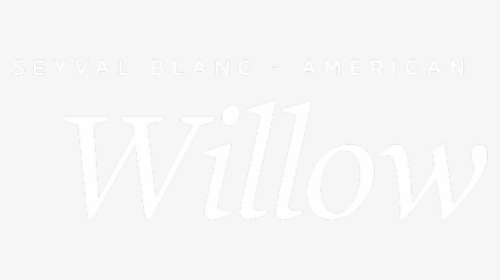 Willow - Darkness, HD Png Download, Free Download