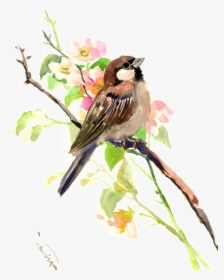 Sparrow Transparent Image - Watercolor Sparrow Painting, HD Png Download, Free Download