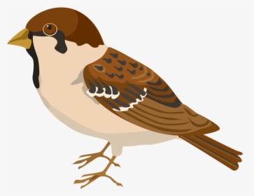 House-sparrow - Sparrow Clipart, HD Png Download, Free Download