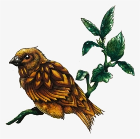 Sparrow , Png Download - Illustration, Transparent Png, Free Download