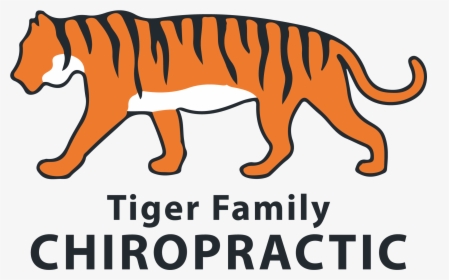 Chiropractor In Columbia, Mo - Tiger Clip Art Side, HD Png Download, Free Download