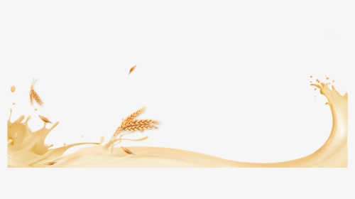 Close-up, HD Png Download, Free Download