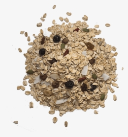 Seed, HD Png Download, Free Download