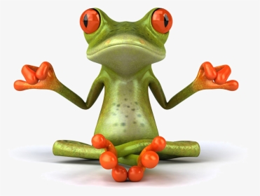Zen Frog, HD Png Download, Free Download