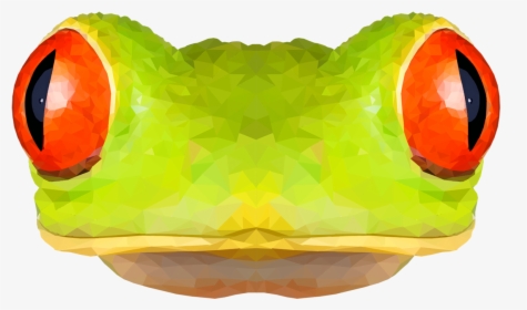 Red-eyed Tree Frog, HD Png Download, Free Download