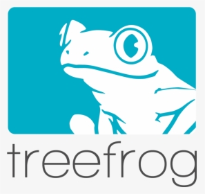 Tree Frog Clipart , Png Download - Tree Frog, Transparent Png, Free Download