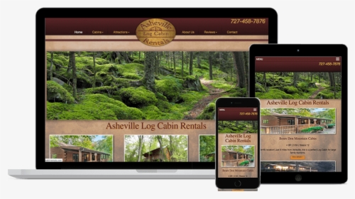 Asheville Log Cabin Rentals - Moss, HD Png Download, Free Download