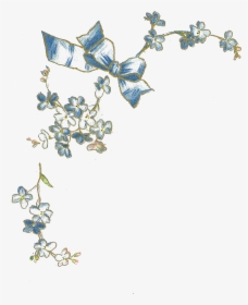Blue Flower Illustration Png, Transparent Png, Free Download