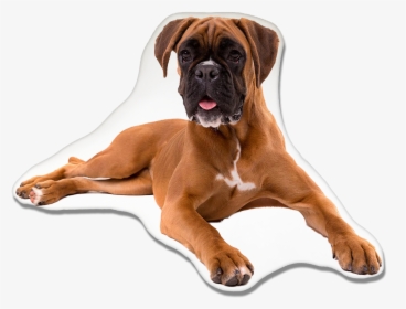 Boxer Dog Pillow - Boxer, HD Png Download, Free Download