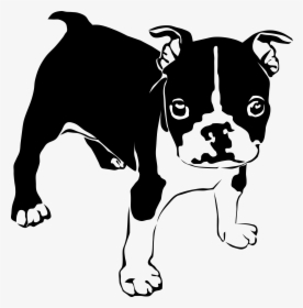 Dogs Clipart Boxer - Clipart Boston Terrier Svg, HD Png Download, Free Download